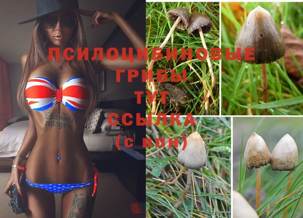 кокаин Алзамай