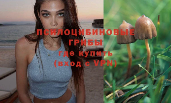 mdpv Абдулино