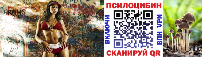 Псилоцибиновые грибы мицелий  Чкаловск 